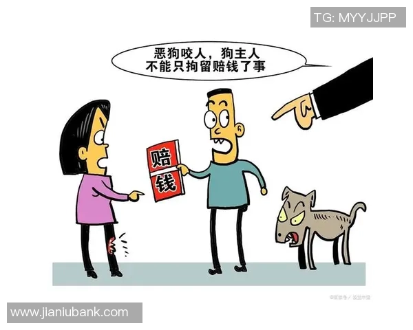 足球被狗咬事件引发的思考与讨论：宠物管理与公共安全的双重挑战